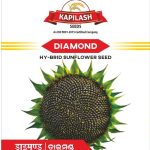 DIAMOND SUNFLOWER