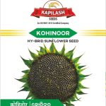 KOHINOOR SUNFLOWER