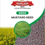 SIDHI MUSTARD